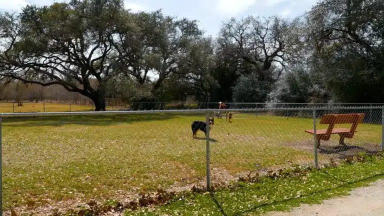 Dog Park