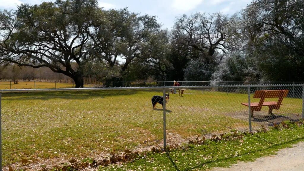 08-Dog Park